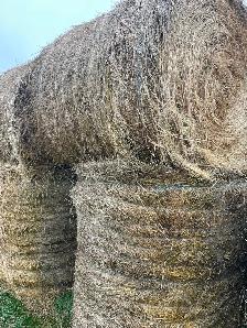 Hay for Sale