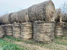 Hay for Sale - Photo 2