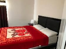 Available Rooms in a detached house - Photo 8
