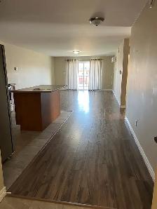 beautiful 2 bedroom apartment