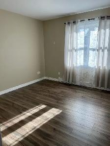 beautiful 2 bedroom apartment - Photo 7