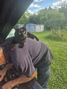 petite Chatte tres affectueuse