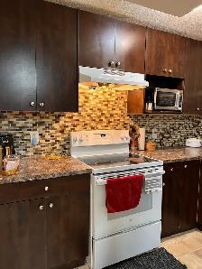 one bedroom basement in Taradale NE - Photo 3
