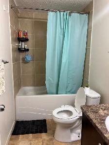 one bedroom basement in NE - Photo 3