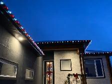 Christmas Lights - Photo 6