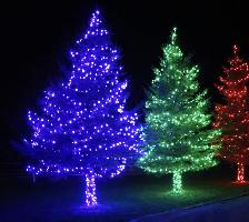 Christmas Lights - Photo 7