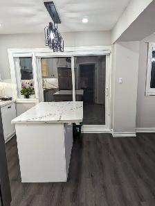 Spacious 3 1 Bed, 3-Bath Home DVP and Lawrence Ave E for rent - Photo 5