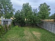 Spacious 3 1 Bed, 3-Bath Home DVP and Lawrence Ave E for rent - Photo 9
