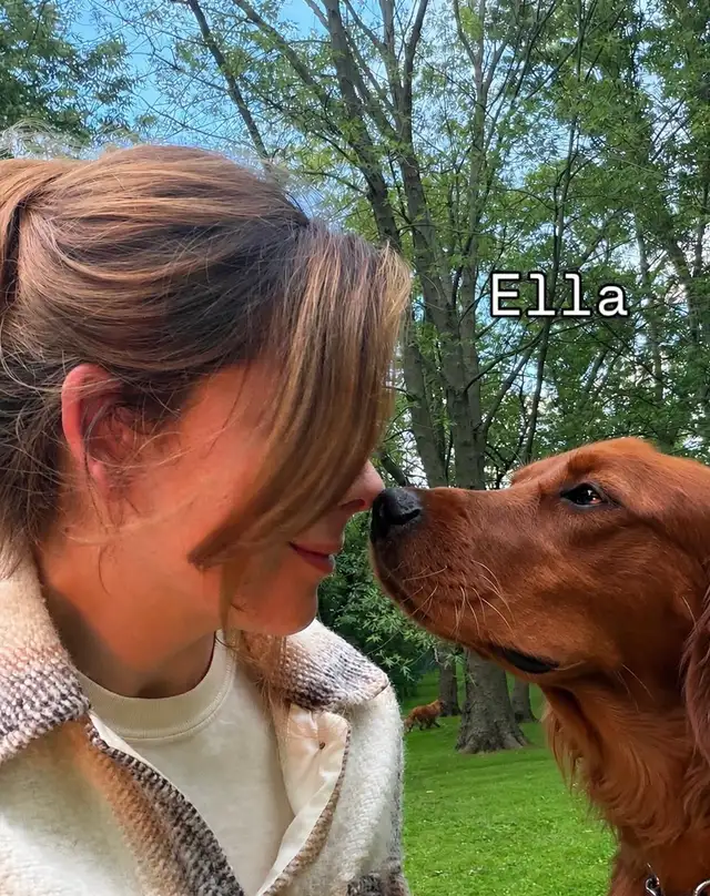 fetch and fable- IRISH SETTER PUPPIES – CHRISTMAS PUPPY! ✨