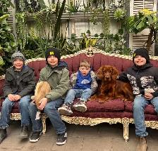 fetch and fable- IRISH SETTER PUPPIES – CHRISTMAS PUPPY! ✨ - Photo 4