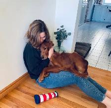fetch and fable- IRISH SETTER PUPPIES – CHRISTMAS PUPPY! ✨ - Photo 5