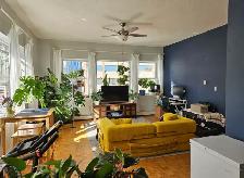 Glebe Annex Large One Bedroom - Photo 3