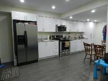 Walkout Bachelor/Studio HWY 7 & Dufferin (Thornhill) - Photo 3