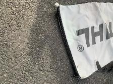 STIHL COLLECTION BAG - Photo 2