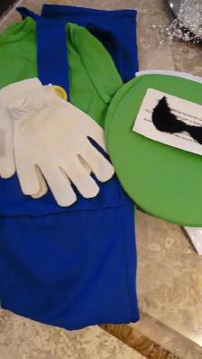 Kid's & Adult Nintendo Costumes - Photo 5
