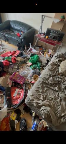 REMOVING TRASH - Photo 2