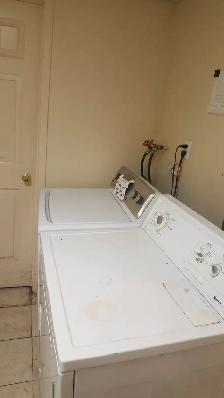 Single room for male person, $550 at Scarborough from 1st Dec - Photo 6