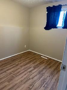 2 Bedroom Basement suite for Rent in Edson - Photo 7