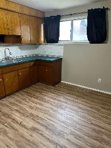 2 Bedroom Basement suite for Rent in Edson - Photo 9