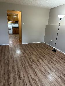 2 Bedroom Basement suite for Rent in Edson - Photo 10