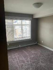 Spacious corner unit 2 bedroom 2 bathroom Skyview Condo NE - Photo 6