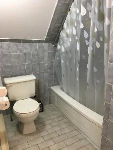 Old Walkerville Charmer-2 Bedroom Upper for Rent - Photo 13