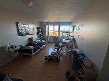 Living Room for Rent (FEMALE ONLY) - Photo 3
