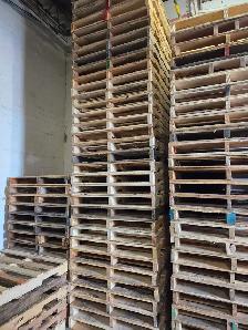 General Helper Needed in a pallet company Mississauga