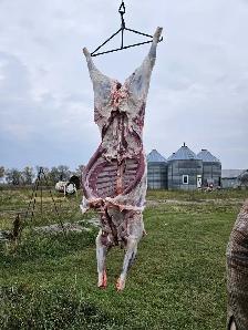 animal processing Service - Photo 3