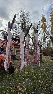animal processing Service - Photo 4