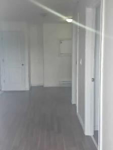 main floor in two bedrooms one room for rent - Photo 10