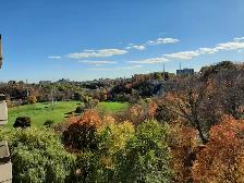 1st/Dec~, 650/month, Condo 10th Floor)Don Mills&Eglington - Photo 12
