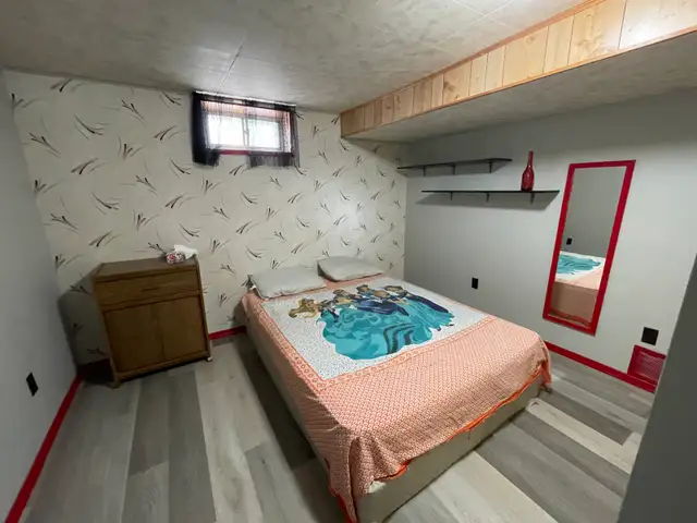 Room for rent in Basement