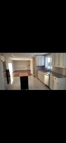Lower level of walk out duplex