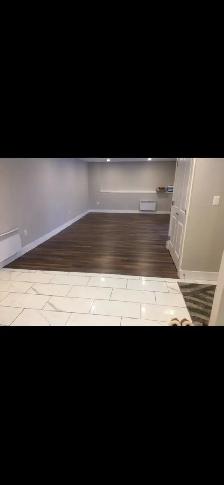 Lower level of walk out duplex - Photo 3