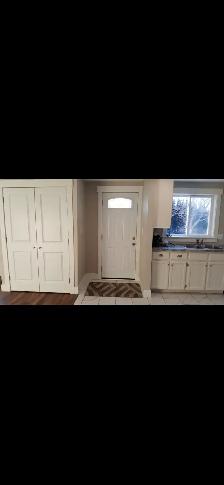 Lower level of walk out duplex - Photo 4