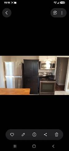 Lower level of walk out duplex - Photo 7