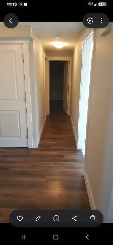 Lower level of walk out duplex - Photo 9