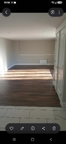 Lower level of walk out duplex - Photo 10