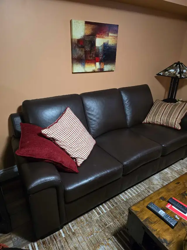 leather couch 2 years old mint