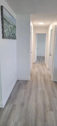 2 Beds 1 Bath Apartment - Photo 5
