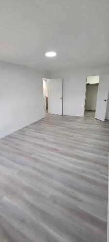 2 Beds 1 Bath Apartment - Photo 7