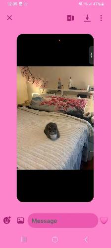 master bedroom for rent