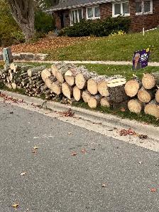 free firewood