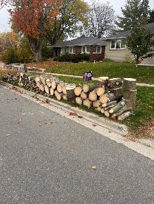 free firewood - Photo 2