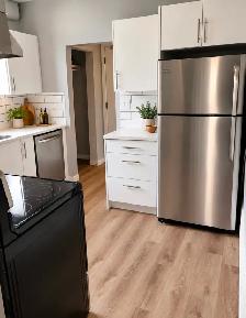 113 Eugenie St, 2 bdrm for rent $1550/m heat, water inc. - Photo 8