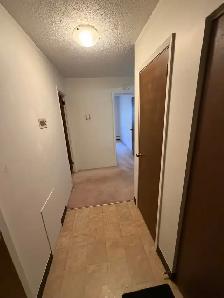 One bedroom suite  in College Park