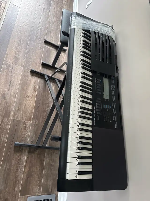 Casio Keyboard