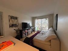 5 1/2 Appartement Lachine 23e - Photo 6