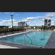 2 Bedroom Apartments for Rent asap - Photo 2